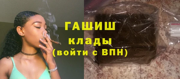 хмурый Аркадак