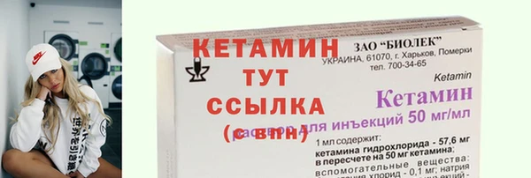 хмурый Аркадак