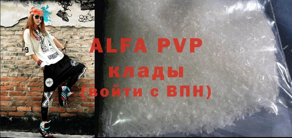 хмурый Аркадак