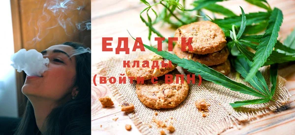 хмурый Аркадак