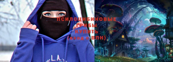 не бодяженный Арсеньев