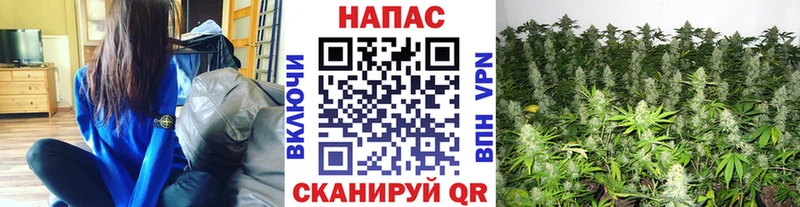 Купить закладки  Сасово  Канабис план 